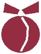 peach icon
